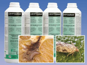 River Bioscience | Crop Protection Products | Cryptogran