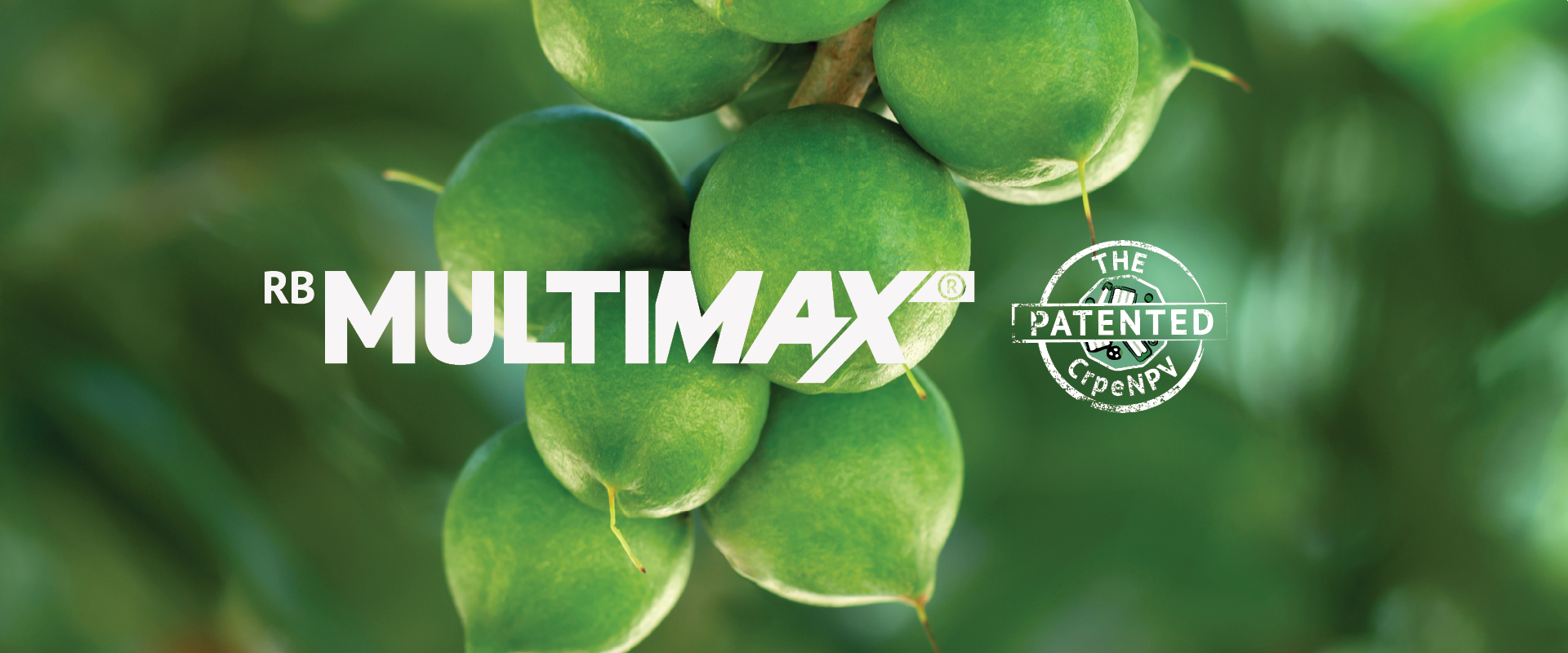 MultiMax